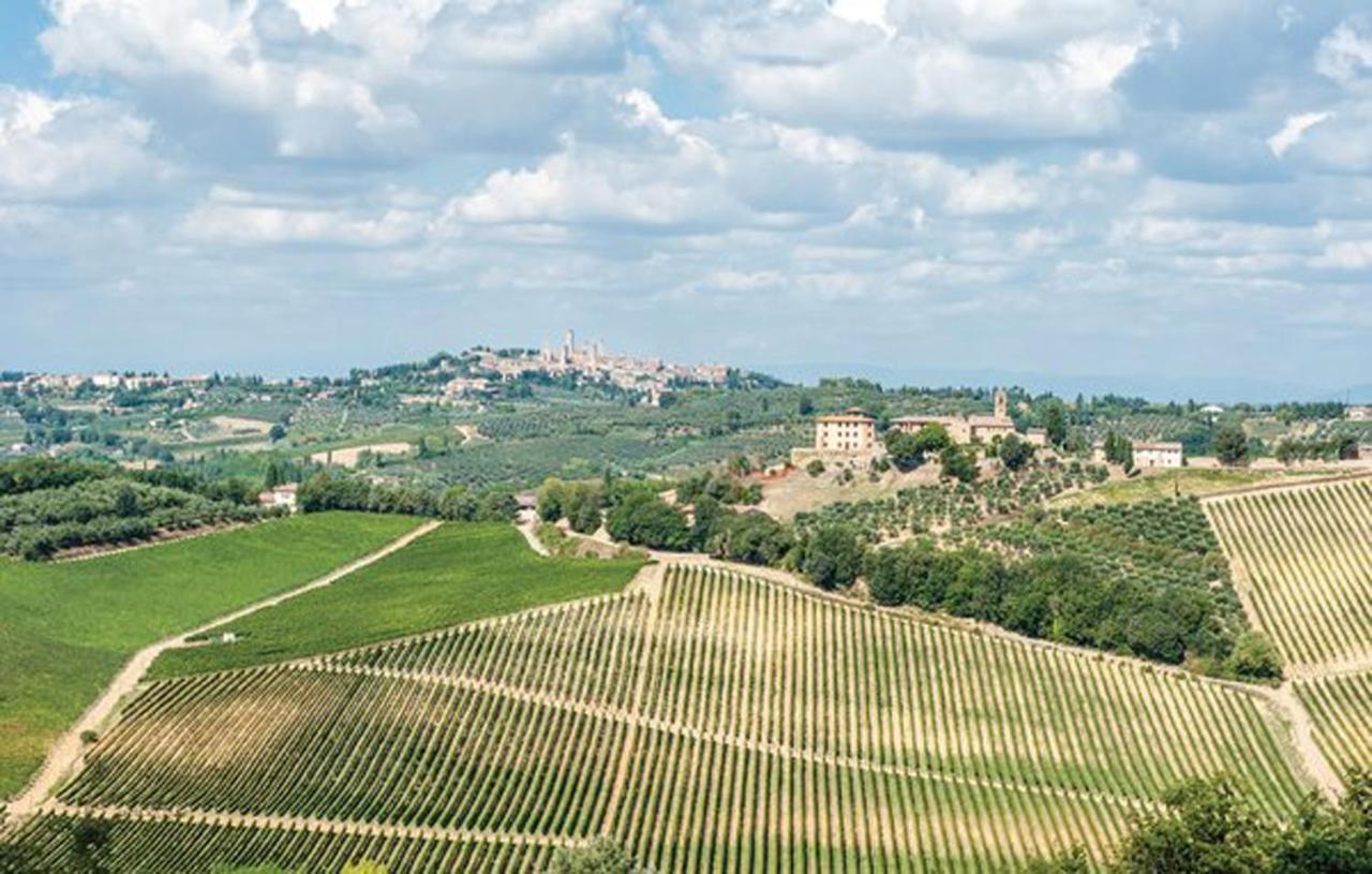Agriturismo Fattoria Il Piano - Appartamento Aia - San Gimignano Exteriér fotografie
