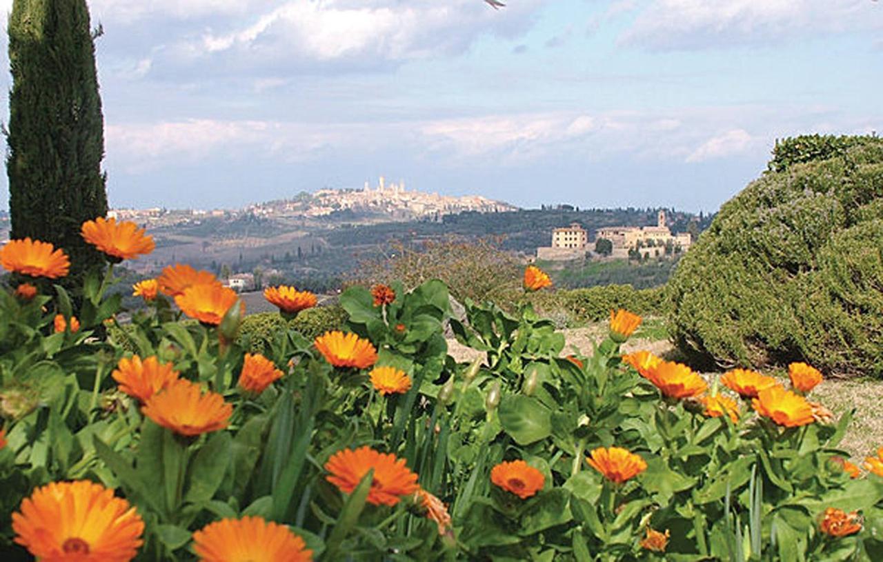 Agriturismo Fattoria Il Piano - Appartamento Aia - San Gimignano Exteriér fotografie