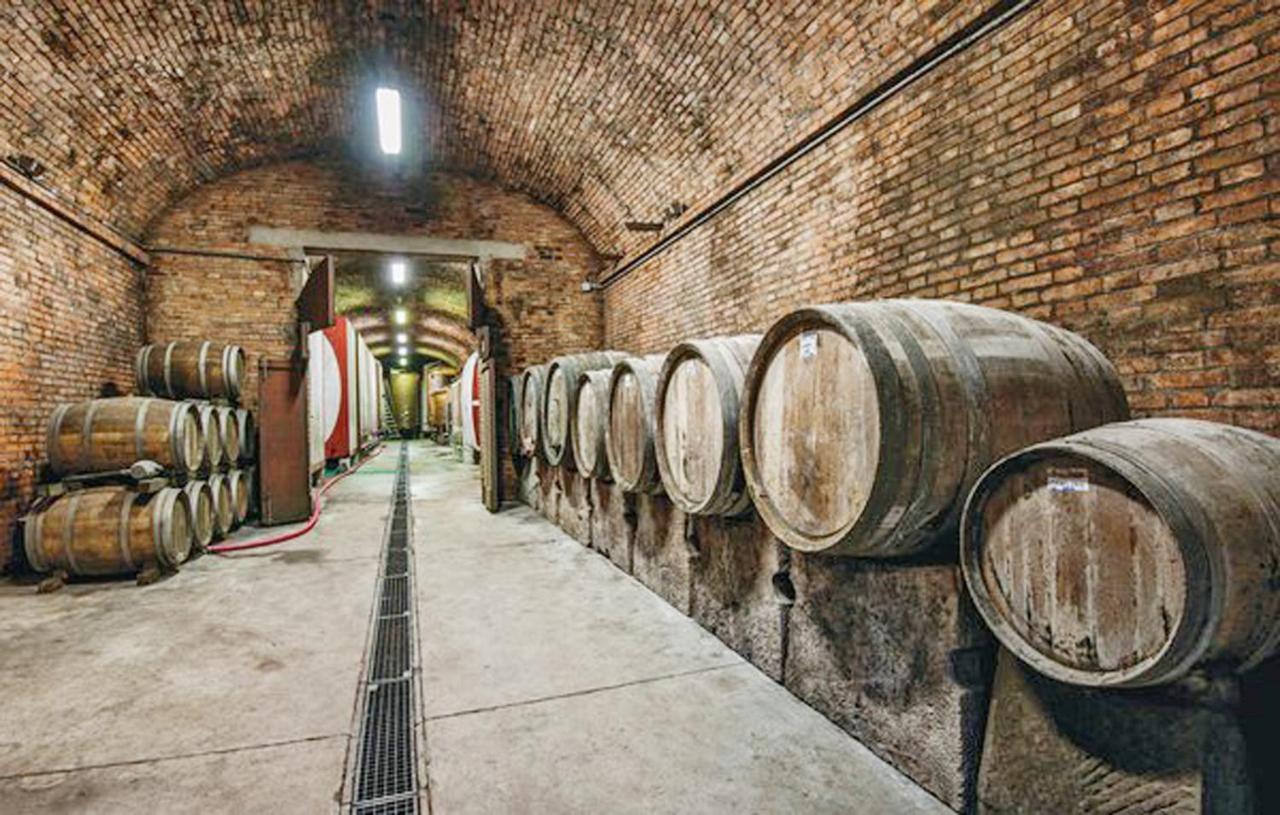 Agriturismo Fattoria Il Piano - Appartamento Aia - San Gimignano Exteriér fotografie